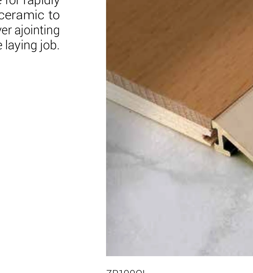 Profil separatie cu prag de nivel 10 mm Leveltec ZP Profilitec | tip Z, insertie alama lucioasa, B 27 mm – bara 2,7 m Profil separatie cu prag de nivel 10 mm Leveltec ZP Profilitec | tip Z, insertie alama lucioasa, B 27 mm – bara 2,7 m